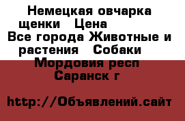 Немецкая овчарка щенки › Цена ­ 20 000 - Все города Животные и растения » Собаки   . Мордовия респ.,Саранск г.